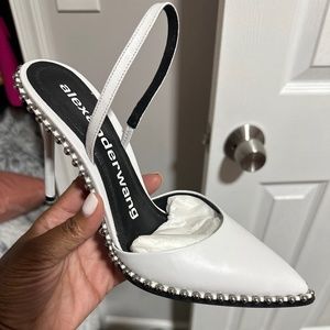 Alexander Wang
